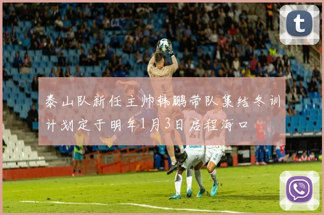 泰山队新任主帅韩鹏带队集结冬训计划定于明年1月3日启程海口
